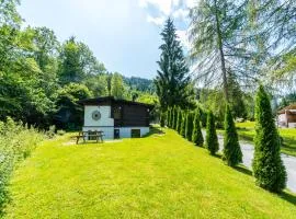 Chalet in Wörgl near Ski Lift