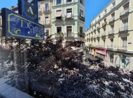 Plaza Dort Rooms I