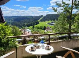 Schonach mountain-Top, forest, free parking, new kitchen, renovated bathroom