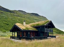 Modern cabin sauna, BBQ & beautiful view Filefjell, Hotel in Tyinkrysset