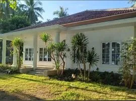 Damar Tree Resort Krui