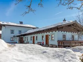 Flat in Mittersill near Hohe Tauern Ski Slopes