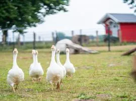 H3 Wohnen am Hofcafé mit Feierscheune Ostseebad Rerik