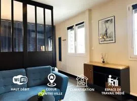 Appartement Spacieux T1bis - Centre-ville