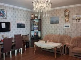 Guest house and hostel in center