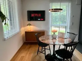 Lux city apartment