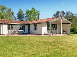 Stunning Home In Øster Assels With Wifi