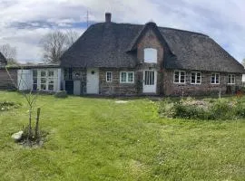 Charming Cottage House In Hoejer