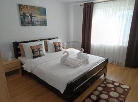 Casa Ioana Întorsura Buzăului
