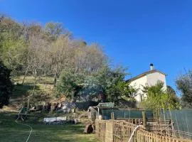 Serenità nella Natura
