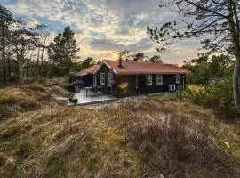 3 Bedroom Cozy Home In Thisted