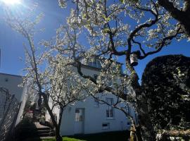 Gemütlich wohnen über Besigheim, hotel in Besigheim