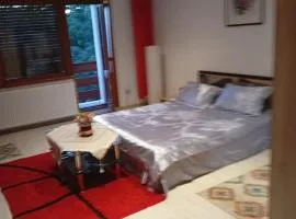 Apartament cu terasa la casa Valentin
