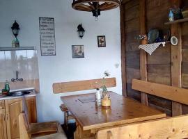 Granpa's House, hotel in Ruhovtsi