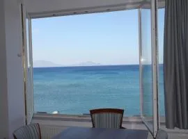 Ostria View