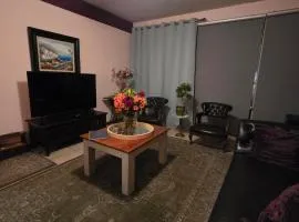 2 Bedroom spacious apartment