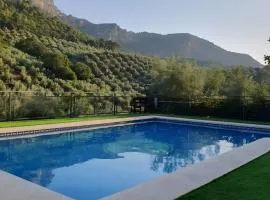 Fuente Los Avellanos