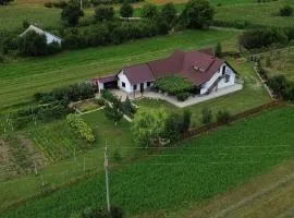Căsuța din Deal