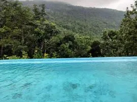 Pepper Glen Powathu Panchalimedu