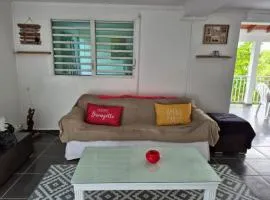 Zénitude sur le morne