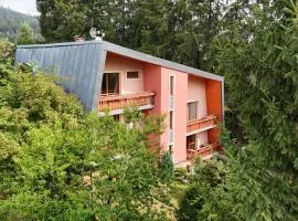 Ski&hike apartments Krkonoše - Janské Lázně