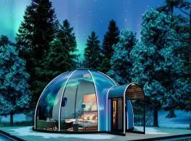 Lofoten Auroradome
