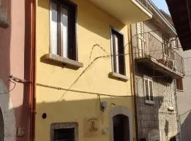 Il Fungo
