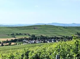 Holiday Home in Pfaffenweiler