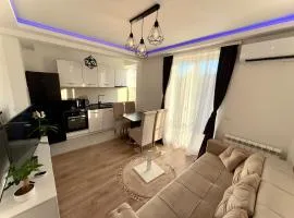 Lux apartment with a park view