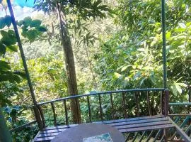 munnar Green portico Cottage MuNnAr #MUNNAR #Parking # campfire # brackfast #best budget COTTAGE MUNNAR