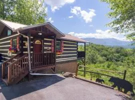 Honeymoon of your Dreams! Incredible views,minutes from DowntownGB,Free Tix to Dolly,Anake,Zipline