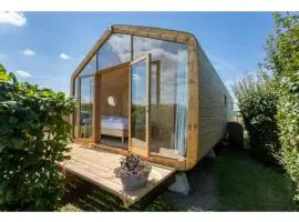Tiny House in Zeeland near Oranjezon Dunes