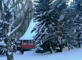 House in Bohemian near Ski Slope