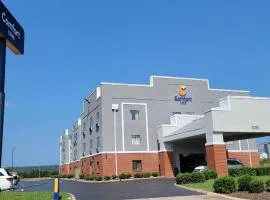 Comfort Inn Bessemer Birmingham South