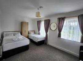 Bright elegant room park view