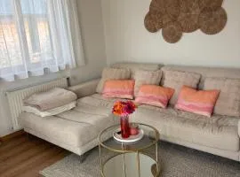 2-room apartment