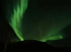 Senja Laukhella