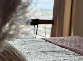 Panorama City View Katowice