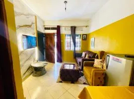 Naguru Dukes cheerful home with airport pickup