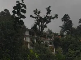 MOZO Inn&Cafe Jibhi