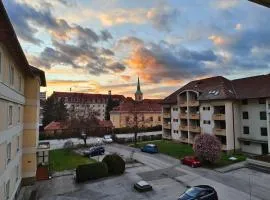 Grünerbalkon Ferienappartement