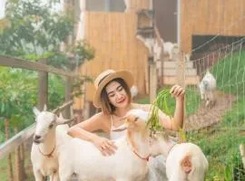 Kirin Farm