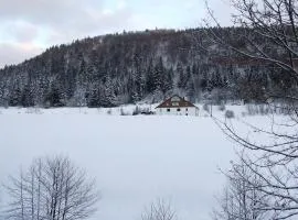 Domaine Des Hauts Viaux