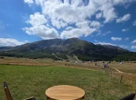 Mountain Peace