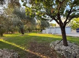Casa degli Ulivi