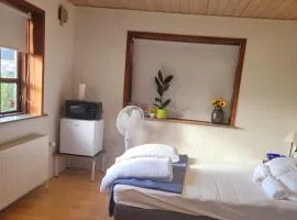 Cozy Room with Garden and WiFi