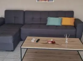 Zorzet
