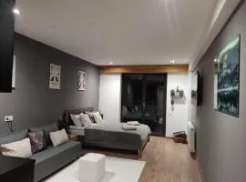 Evdo Apartments F4 modern room