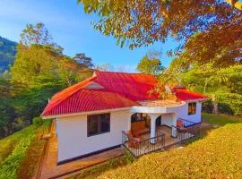 Dole Homes