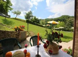 Apartment in Marche with Pool & Terrace